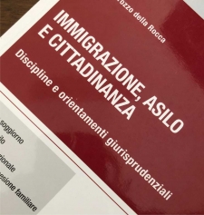 advogado direito da imigração